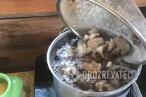 Мариновані маслюки - Крок 4 Мариновані маслюки - Крок 4