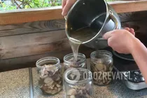 Мариновані маслюки - Крок 8 Мариновані маслюки - Крок 8