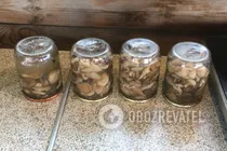 Мариновані маслюки - Крок 9 Мариновані маслюки - Крок 9