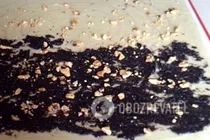 Штрудель з маком - Крок 5 Штрудель з маком - Крок 5