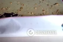 Штрудель з маком - Крок 6 Штрудель з маком - Крок 6