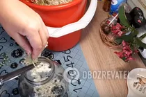 Квас из бузины - Шаг 3 Квас из бузины - Шаг 3