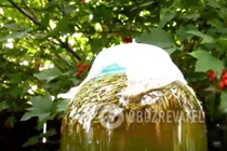 Квас з вівса - Крок 5 Квас з вівса - Крок 5