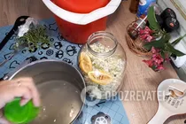 Квас из бузины - Шаг 6 Квас из бузины - Шаг 6