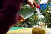 Квас з вівса - Крок 9 Квас з вівса - Крок 9