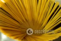 Спагетти с креветками - Шаг 1 Спагетти с креветками - Шаг 1