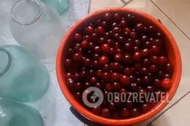 Компот з вишні - Крок 1 Компот з вишні - Крок 1