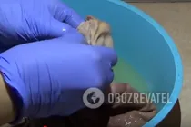 Зельц зі свинячої голови - Крок 3 Зельц зі свинячої голови - Крок 3