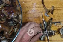 Паштет из опят - Шаг 2 Паштет из опят - Шаг 2