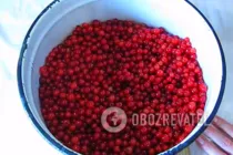 Джем из красной смородины - Шаг 1 Джем из красной смородины - Шаг 1