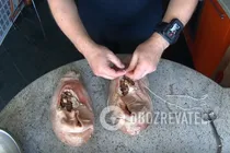 Сальтисон в желудке - Шаг 5 Сальтисон в желудке - Шаг 5