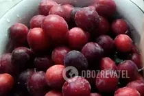 Варенье из алычи - Шаг 1 Варенье из алычи - Шаг 1
