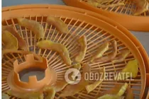 Цукаты из тыквы в сушилке - Шаг 6 Цукаты из тыквы в сушилке - Шаг 6
