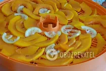 Цукаты из тыквы в сушилке - Шаг 5 Цукаты из тыквы в сушилке - Шаг 5