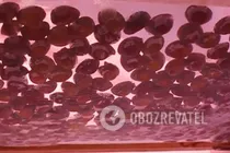 Цукаты из сливы - Шаг 6 Цукаты из сливы - Шаг 6