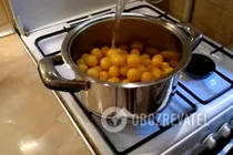 Соус из алычи - Шаг 2 Соус из алычи - Шаг 2