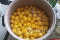 Аджика из алычи - Шаг 1 Аджика из алычи - Шаг 1