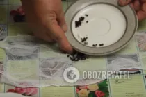Кетчуп из помидор и яблок - Шаг 5 Кетчуп из помидор и яблок - Шаг 5