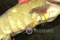 Фаршированная рыба по-еврейски - Шаг 7 Фаршированная рыба по-еврейски - Шаг 7