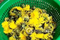 Варенье из одуванчиков - Шаг 1 Варенье из одуванчиков - Шаг 1