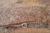 Полендвица - Шаг 5 Полендвица - Шаг 5