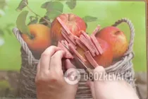 Салат с омлетом и колбасой - Шаг 3 Салат с омлетом и колбасой - Шаг 3