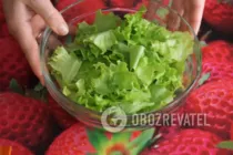 Салат з куркою і виноградом - Крок 5 Салат з куркою і виноградом - Крок 5