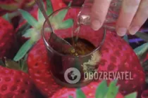 Салат с красной рыбой и листьями салата - Шаг 2 Салат с красной рыбой и листьями салата - Шаг 2