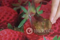 Салат с красной рыбой и листьями салата - Шаг 1 Салат с красной рыбой и листьями салата - Шаг 1