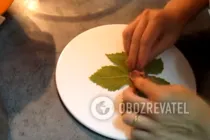 Долма из виноградных листьев - Шаг 5 Долма из виноградных листьев - Шаг 5
