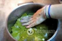 Долма из виноградных листьев - Шаг 7 Долма из виноградных листьев - Шаг 7