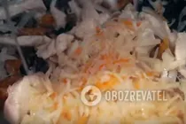 Тушеная курица с капустой и сухофруктами в мультиварке - Шаг 4 Тушеная курица с капустой и сухофруктами в мультиварке - Шаг 4
