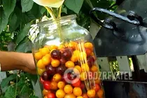 Наливка з аличі без горілки - Крок 3 Наливка з аличі без горілки - Крок 3