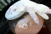 Наливка з аличі без горілки - Крок 7 Наливка з аличі без горілки - Крок 7