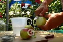 Яблучна настоянка на горілці - Крок 1 Яблучна настоянка на горілці - Крок 1