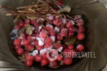 Наливка із замороженої горобини - Крок 1 Наливка із замороженої горобини - Крок 1