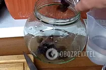 Настоянка на чорносливі з роздинками - Крок 2 Настоянка на чорносливі з роздинками - Крок 2