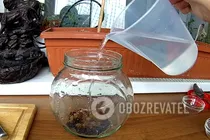 Настоянка на чорносливі з роздинками - Крок 4 Настоянка на чорносливі з роздинками - Крок 4