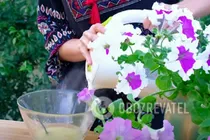 Медовий лимонад із лимоном - Крок 4 Медовий лимонад із лимоном - Крок 4