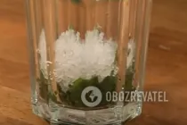 Лимонад із ківі на газованій воді - Крок 6 Лимонад із ківі на газованій воді - Крок 6