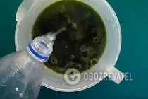 Лимонад з естрагону - Крок 7 Лимонад з естрагону - Крок 7