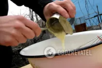 Яєчний лікер із вершками і згущеним молоком - Крок 2 Яєчний лікер із вершками і згущеним молоком - Крок 2