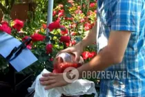 Клубничный ликер с лимонным соком - Шаг 5 Клубничный ликер с лимонным соком - Шаг 5