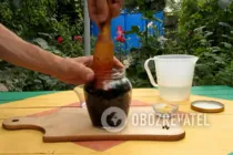Чорничний лікер на горілці - Крок 1 Чорничний лікер на горілці - Крок 1