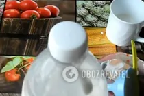 Кефір із козячого молока - Крок 4 Кефір із козячого молока - Крок 4
