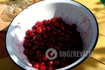 Вишнева наливка з пряностями та кісточками - Крок 1 Вишнева наливка з пряностями та кісточками - Крок 1