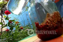Вишнева наливка з пряностями та кісточками - Крок 3 Вишнева наливка з пряностями та кісточками - Крок 3