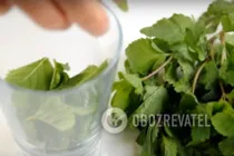 Мохито с белым ромом - Шаг 2 Мохито с белым ромом - Шаг 2