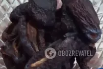Узвар із шипшини - Крок 4 Узвар із шипшини - Крок 4