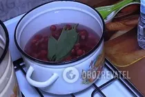 Малиновий лікер з вишневим листям - Крок 2 Малиновий лікер з вишневим листям - Крок 2